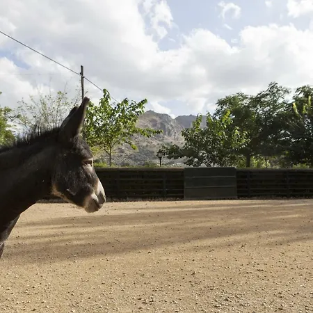 Cortijo La Algallumbilla Holiday home Carcabuey